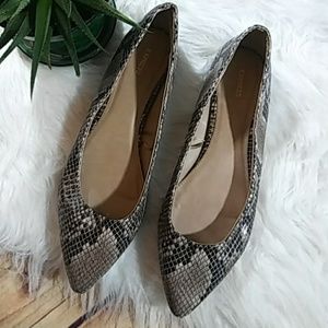 Express Snake Print Flats